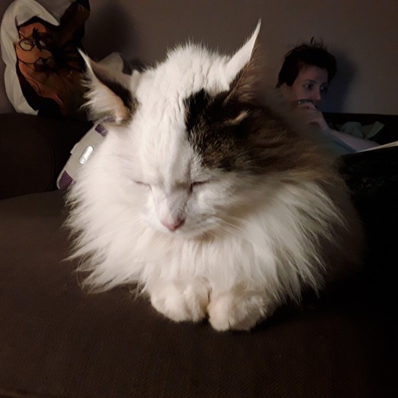 Meet your Posher, Kristina - Picture 1 of 1